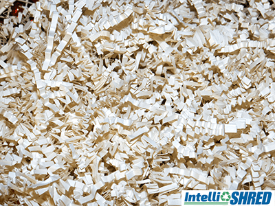 what is secure shredding, pile of shredded paper