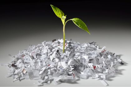 How Shredding Services Improve Business Sustainability